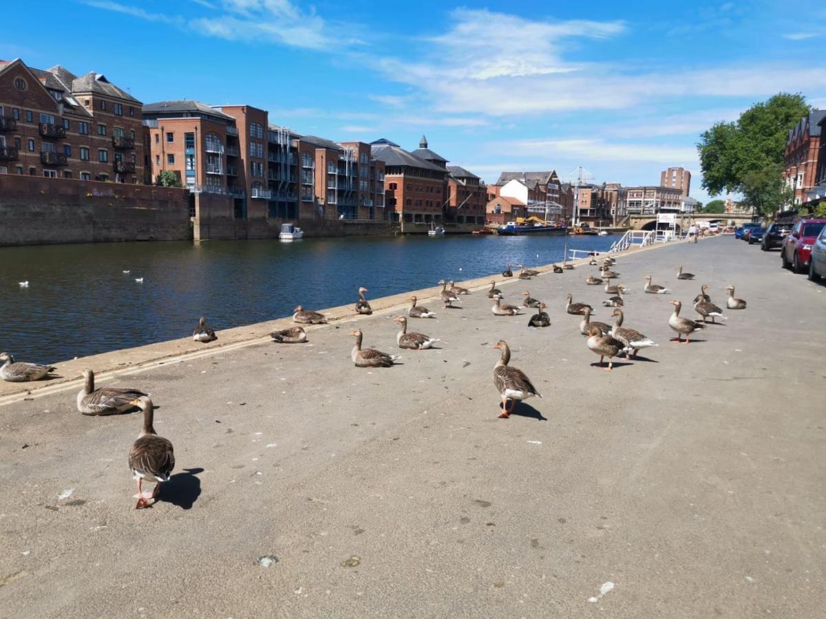 Hartoft St - 2 Bed Near River York Bagian luar foto
